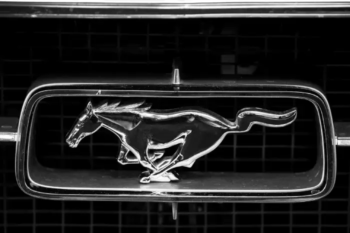 Free Ford Mustang Ford photo and picture